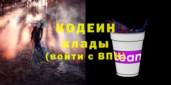 крисы Абаза