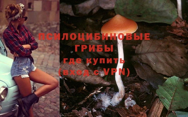 крисы Абаза