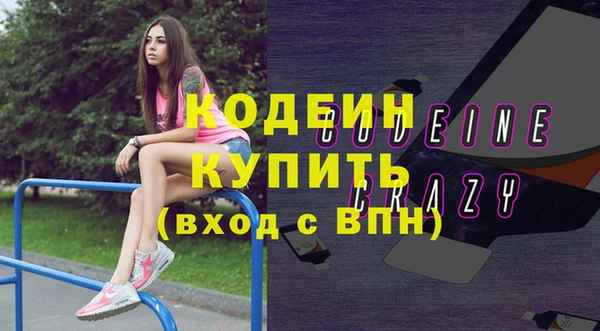крисы Абаза