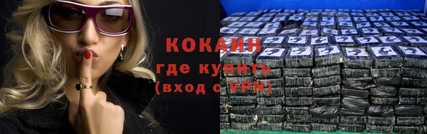крисы Абаза